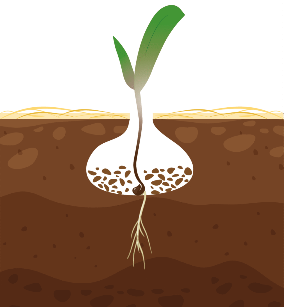 Simtech inverted T-slot with expanded space around the seed for light, warmth, and moisture.